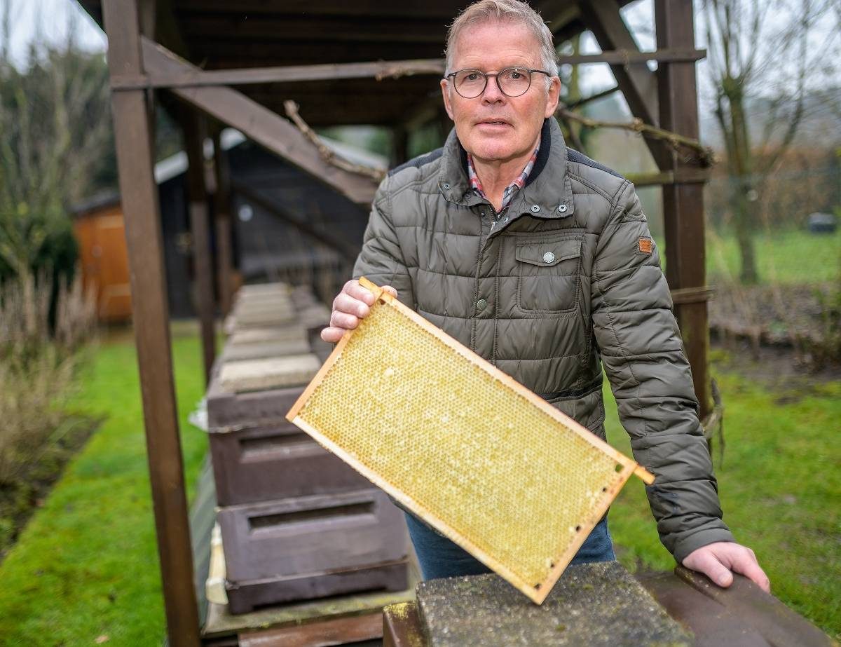 Hans-Wilhelm Kessel präsentiert eine Bienenwabe am eigenen Bienenstand